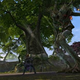 Image for article titled What Makes Rift Different From The Other MMOs